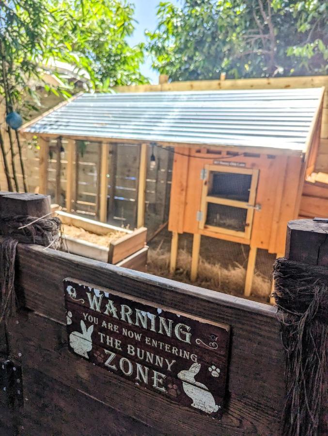 Cozy Af Tiny-House Oasis Tampa Exterior foto