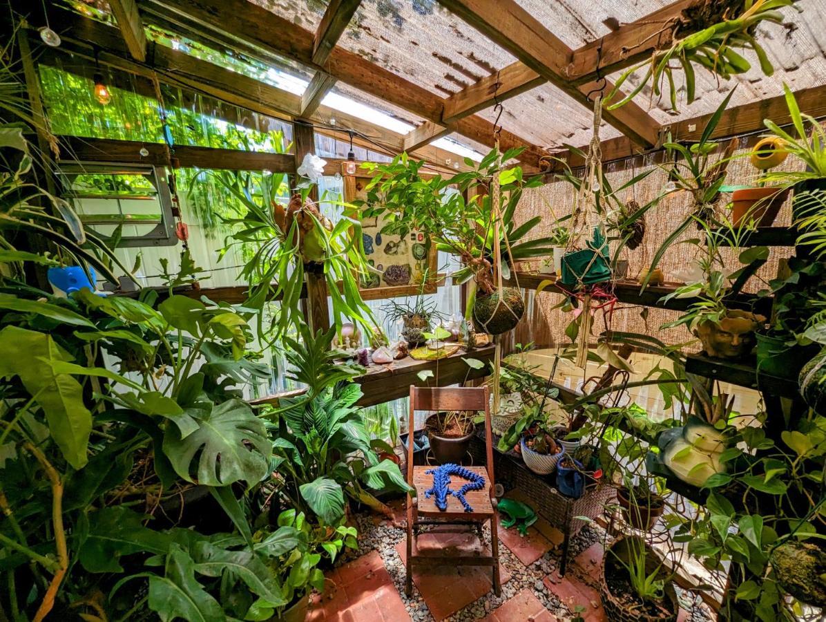 Cozy Af Tiny-House Oasis Tampa Exterior foto